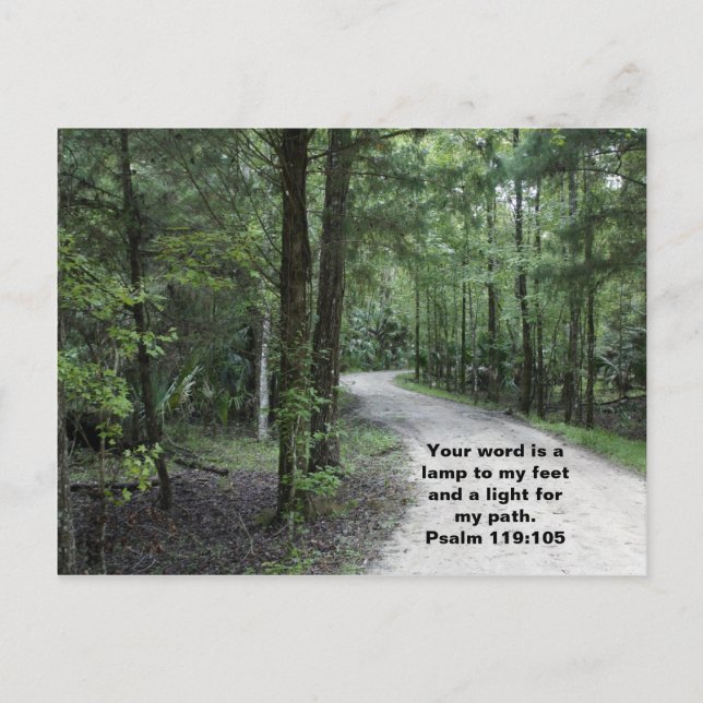 Carte Postale Le chemin (Devant)