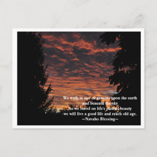 Carte Postale Le chemin de la beauté