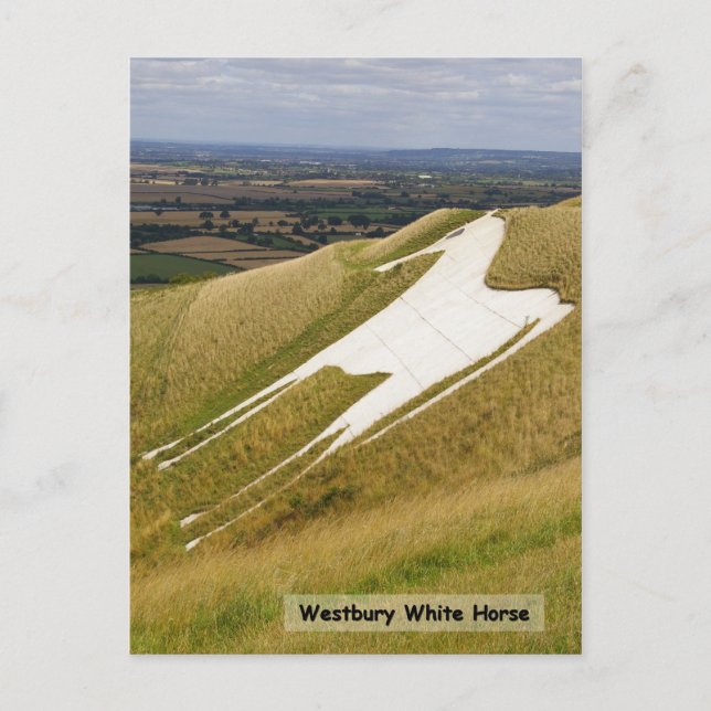 Carte Postale Le cheval (Devant)