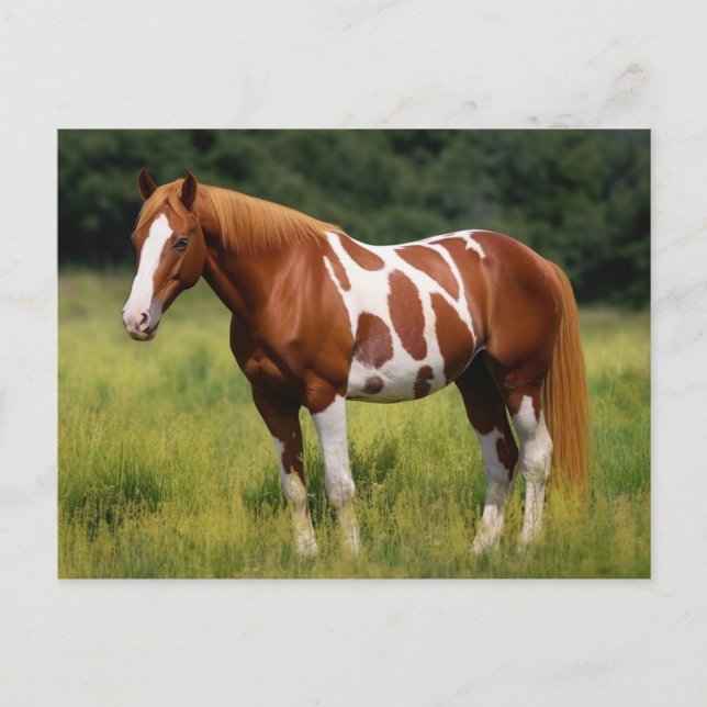 Carte Postale Le Cheval de Peinture (Devant)