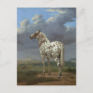 Carte Postale Le Cheval Piebald