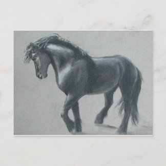 Carte Postale Le cheval sombre