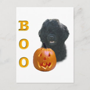 Carte Postale Le chien d'eau portugais Boo
