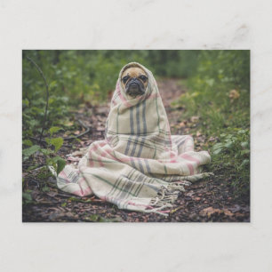 Carte Postale Le chien sent le froid