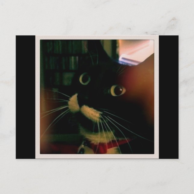 Carte Postale Le Closeup de Lucy (Devant)