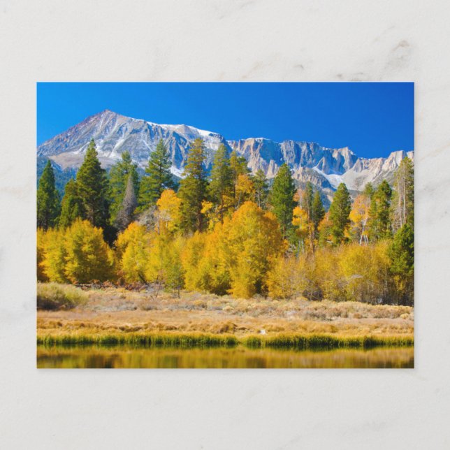 Carte Postale Le col Tioga du Parc national du Yosemite (Devant)