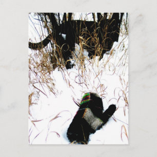 Carte Postale Le conte populaire ukrainien Mitten