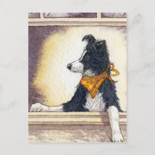 Carte Postale Le cowboy cool collie garde un oeil attentif...