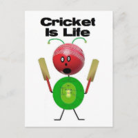 Le cricket est la vie