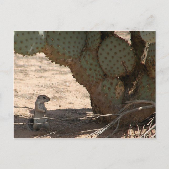 Carte Postale Le critère de Kenny (Devant)