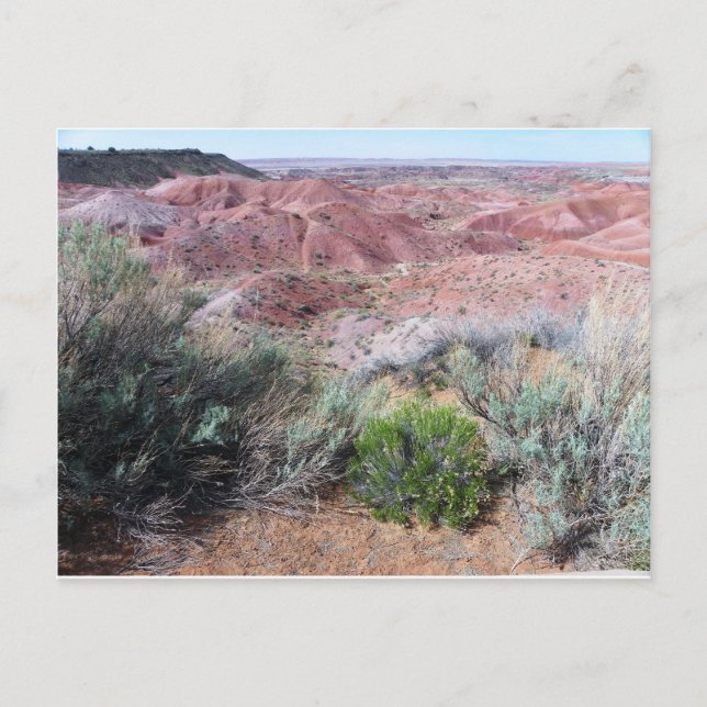 Carte Postale Le désert peint (Devant)