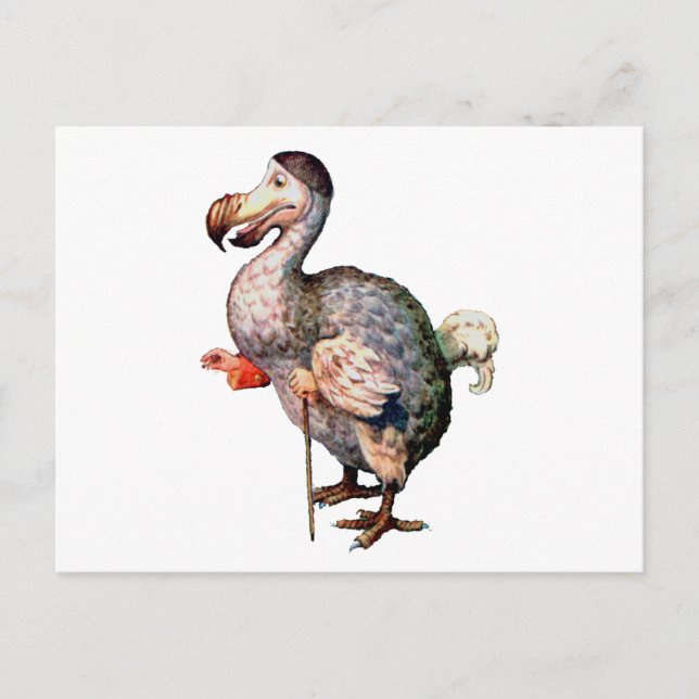 Carte Postale Le Dodo Bird (Devant)