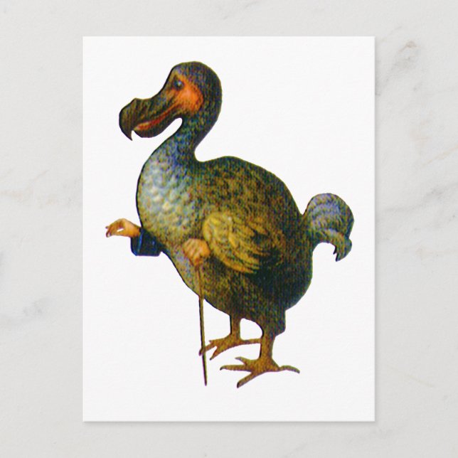 Carte Postale Le Dodo Bird (Devant)