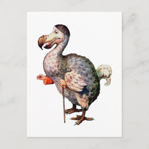 Carte Postale Le Dodo Bird