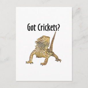 Carte Postale Le Dragon Arpenté A Obtenu Des Crickets