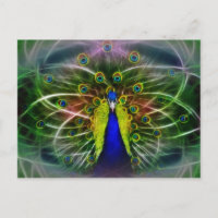 Le Dreamcatcher de Peacock