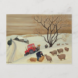 Carte Postale Le foin au mouton par tracteur