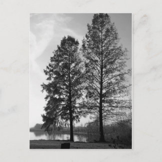 Carte Postale Le front de mer du Maryland de Vienne