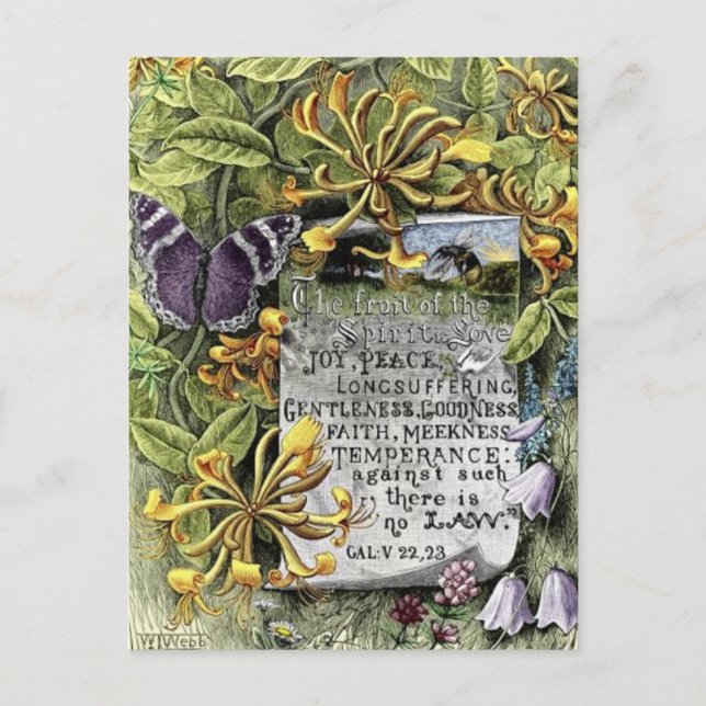 Carte Postale Le fruit de l'esprit (Devant)