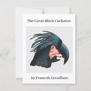 Carte Postale Le Grand Cockatoo Noir de François Levaillant.