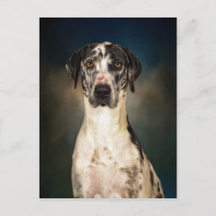 Carte Postale Le Grand Danois