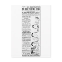 Le Grand Forepaugh Show Publicité