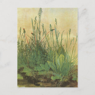 Carte Postale Le Grand (Grand) morceau de Turf par Albrecht Dure