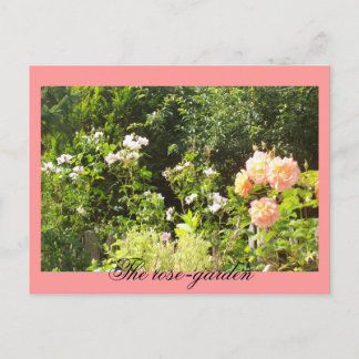 Carte Postale Le jardin rose