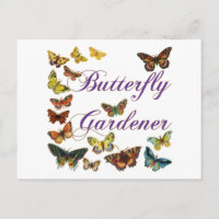 Le jardinier papillon dit :