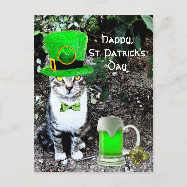 CARTE POSTALE LE JOUR DE SAINT PATRICK CAT WITH GREEN IRISH (Devant)