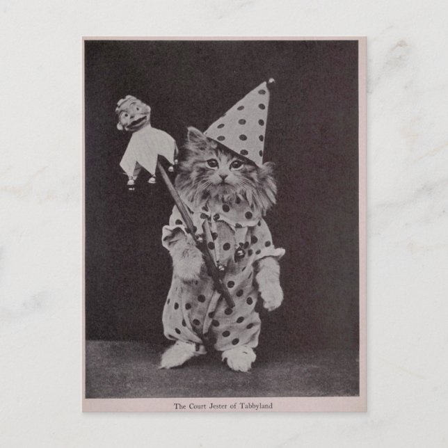 Carte Postale Le juge Jester de Tabbyland (Devant)