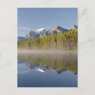 Carte Postale Le lac Herbert à Icefields Parkway Alberta Canada