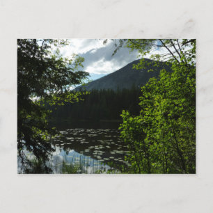 Carte Postale Le lac Johns I du parc national des Glaciers