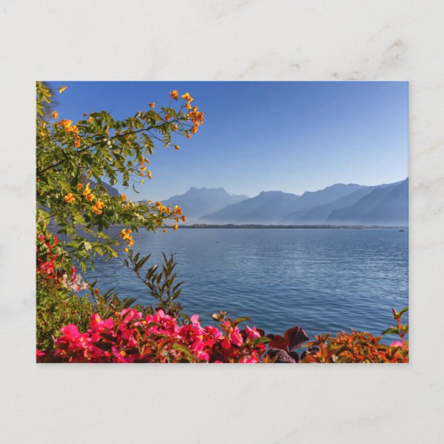 Carte Postale Le lac Montreux, Suisse (Devant)