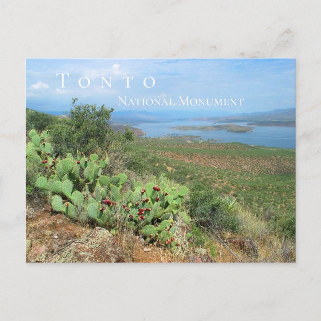 Carte Postale Le lac Roosevelt, monument national de Tonto, AZ (Devant)