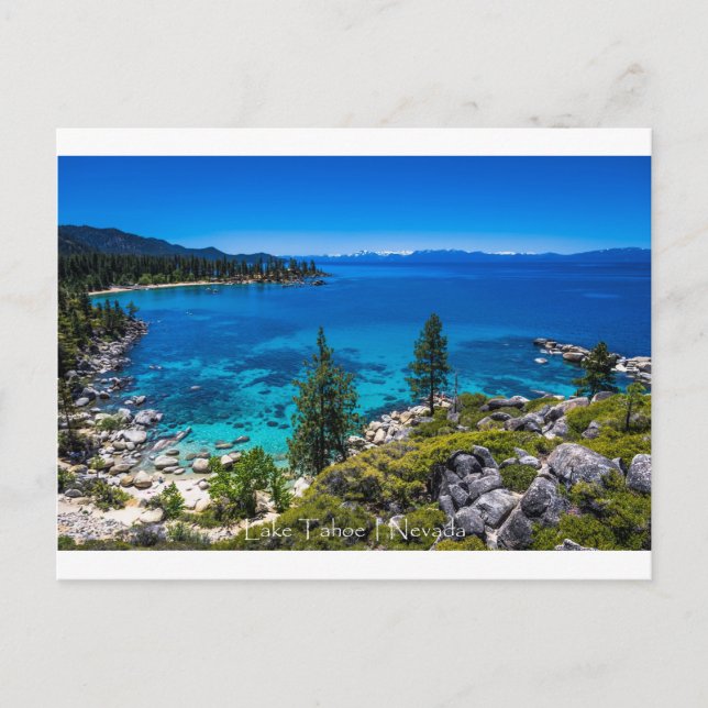 Carte Postale Le lac Tahoe (Devant)