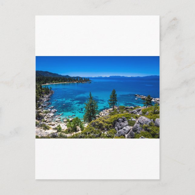 Carte Postale Le lac Tahoe (Devant)