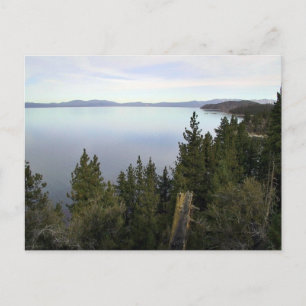 Carte Postale Le lac Tahoe avec pins