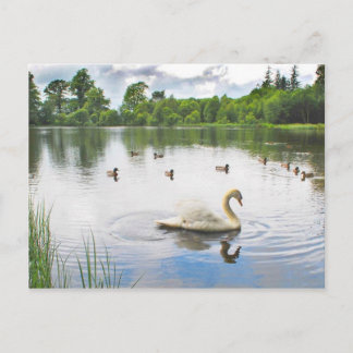 Carte Postale Le Lac Tranquille
