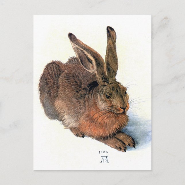 Carte postale : Le lapin (Devant)