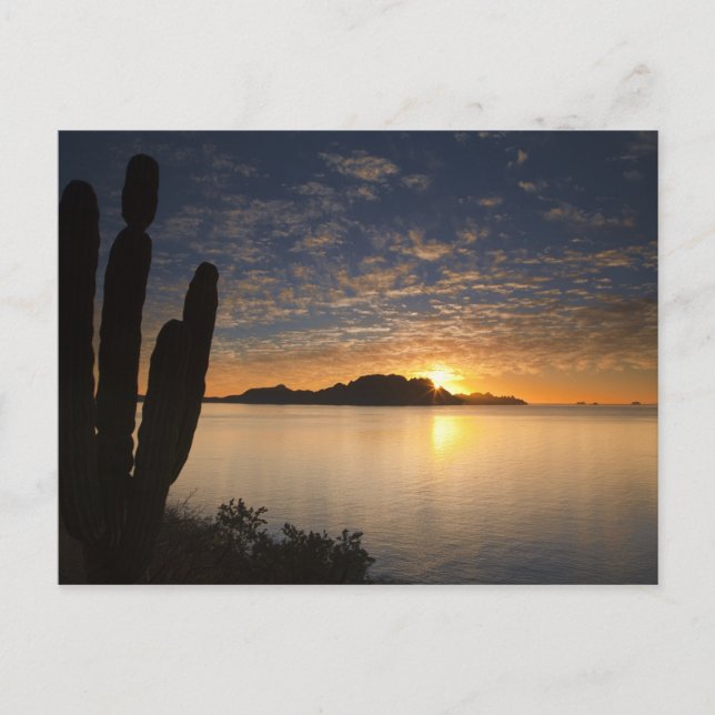 Carte Postale Le lever du soleil sur Isla Danzante dans le golfe (Devant)