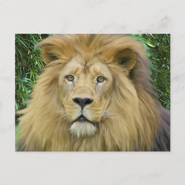 Carte Postale Le lion (Devant)