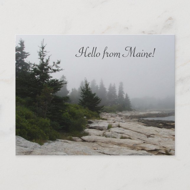 Carte Postale Le littoral de la côte du Maine (Devant)