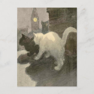 Carte Postale Le livre du chat : Une Nuit