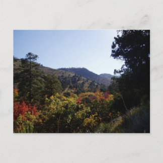 Carte Postale Le long de la route - Canyons du sentier