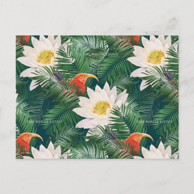 Carte Postale Le Lotus Blanc Oiseaux Tropicaux & Motif de Lotus (Devant)