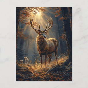 Carte Postale Le majestueux Deer Stag dans la forêt