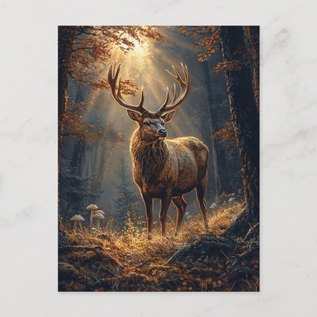 Carte Postale Le majestueux Deer Stag dans la forêt (Devant)