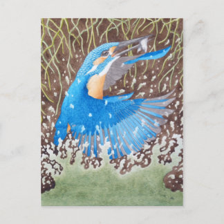 Carte Postale Le martin-pêcheur commun