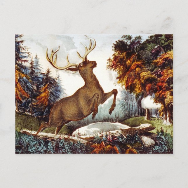 Carte Postale Le massacre (Devant)